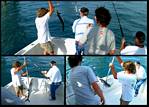(12) montage (rig fishing).jpg    (1000x720)    385 KB                              click to see enlarged picture